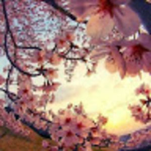 Meet your Posher, Aurora